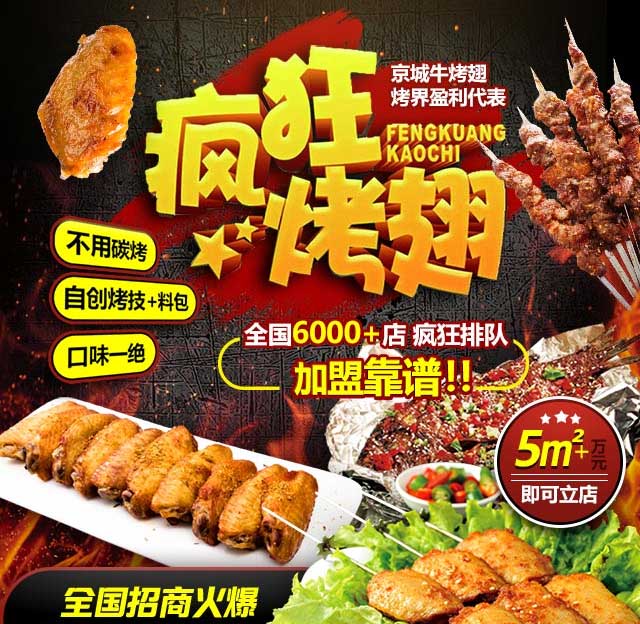 偃师奥尔良烤翅